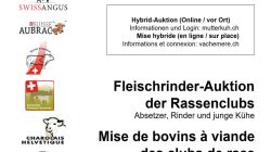 8.11.2024 - Katalog Fleischrinder-Auktion der Rassenclubs