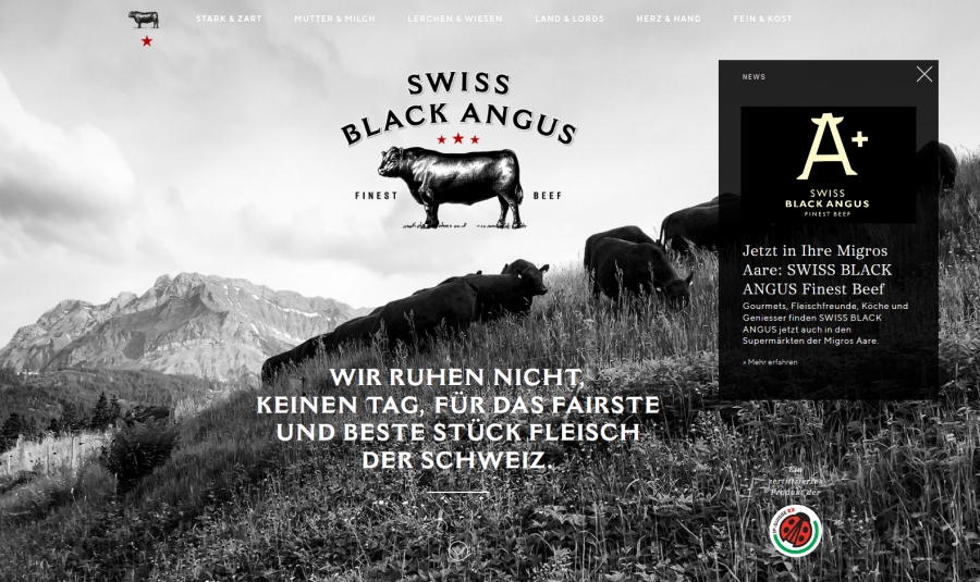 Eine neue Webseite: Swiss Black Angus!
