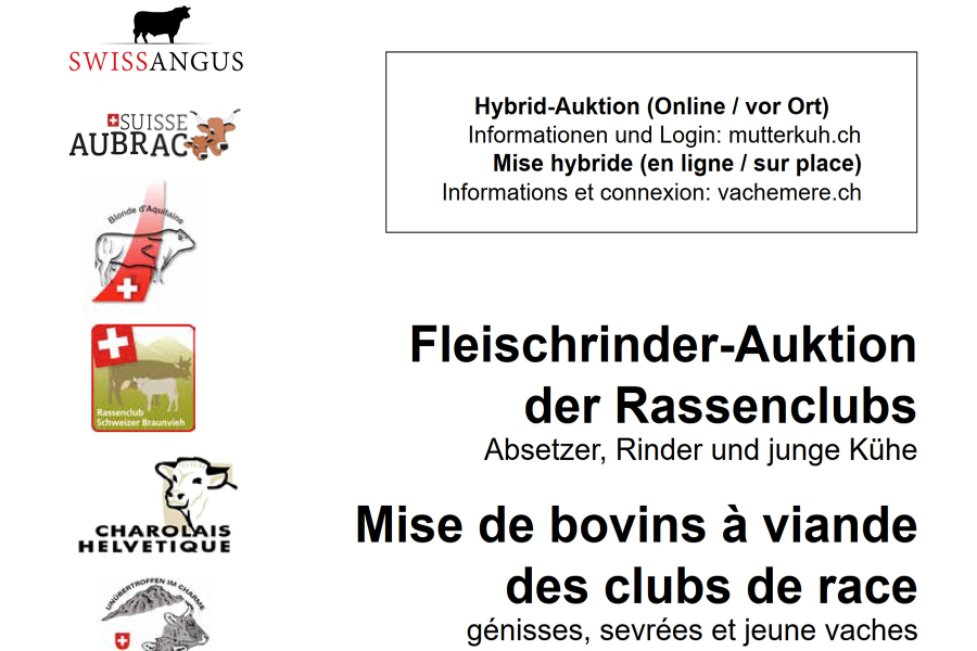 8.11.2024 - Katalog Fleischrinder-Auktion der Rassenclubs