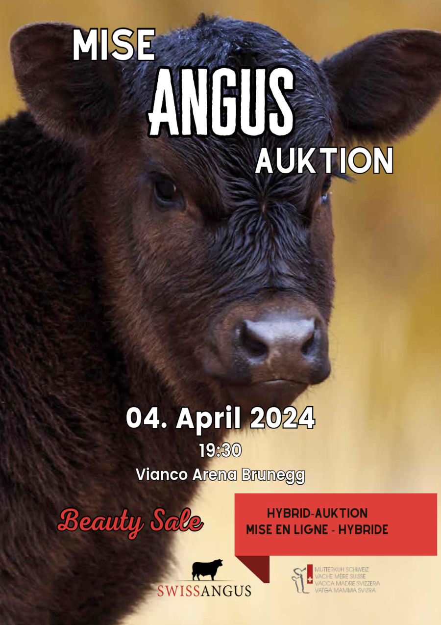 Der Katalog für die Angus-Auktion ist online