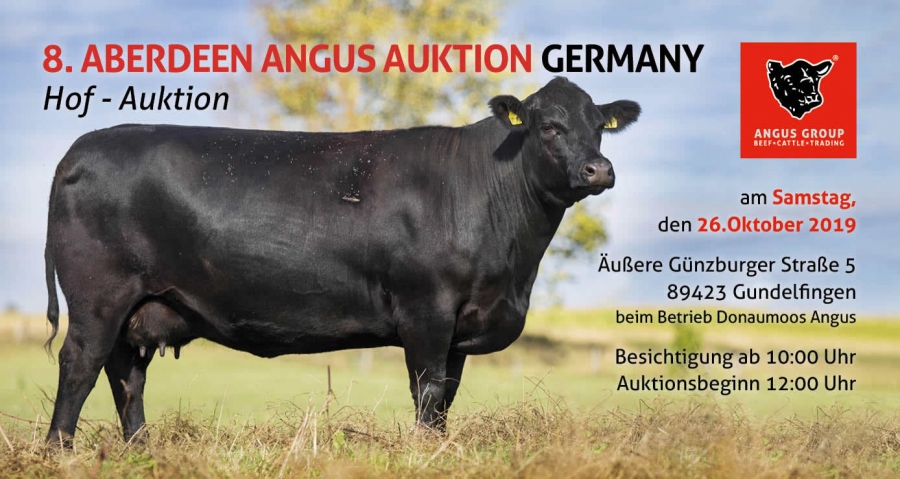 8. Aberdeen Angus Auktion Germany