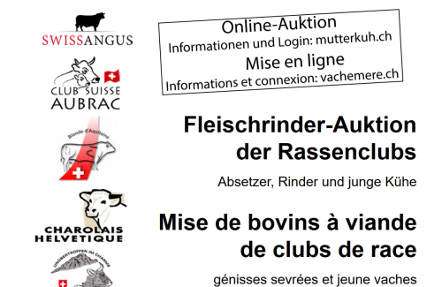 Katalog Fleischrinder-Auktion der Rassenclubs