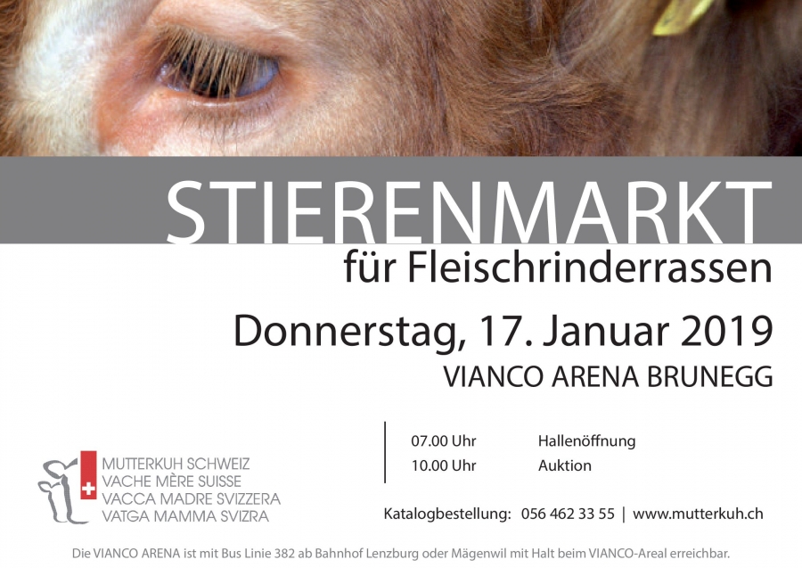 Katalog Stierenmarkt vom 17. Januar 2019