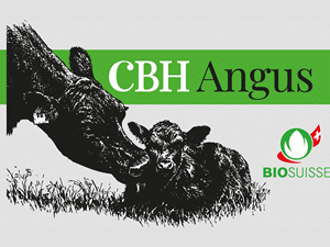 CBH-Angus