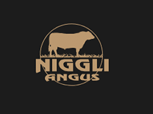 Niggli Angus